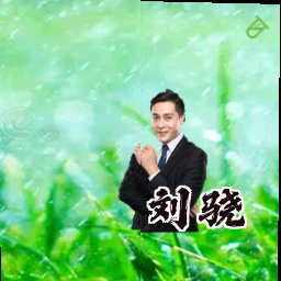 刘骁